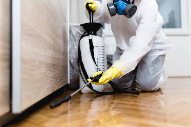 Best Local Pest Control Services  in Lewisburg, KY