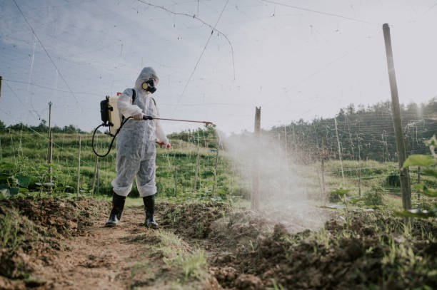 Best Best Pest Control Companies  in Lewisburg, KY