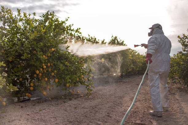 Best Pest Removal Services  in Lewisburg, KY