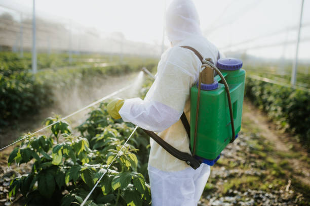 Best Emergency Pest Control  in Lewisburg, KY